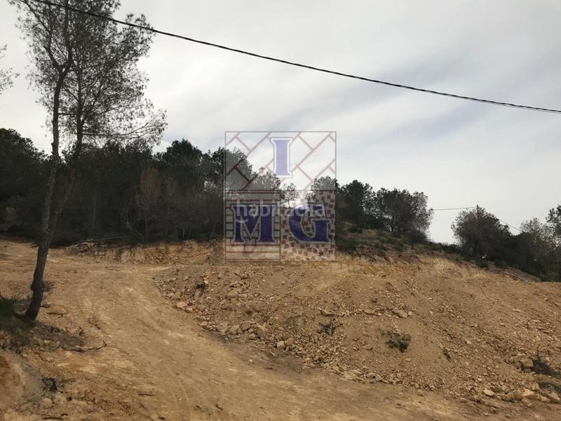 Foto e1c0cab5-7eb6-46e4-9410-09ceb8d53bc0. Fondo rustico in El Esparragal Murcia