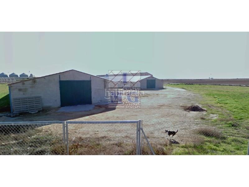 Foto 4d9b0c43-0a10-4fcf-af93-50873e9e7b4e. Casa in Pedanías - Extrarradio Albacete