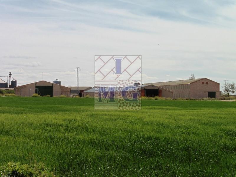 Foto 91b3e76f-2fb2-4589-a2b2-d6ace044b33d. Casa in Pedanías - Extrarradio Albacete