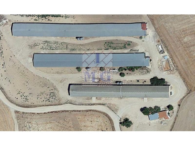 Foto c70ce45e-6ee4-411f-ad28-3708daf39529. Casa in Pedanías - Extrarradio Albacete