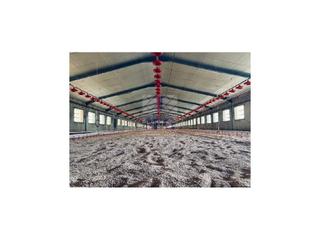 Casa en Pedanas - Extrarradio. Nave agricola  ganadera.