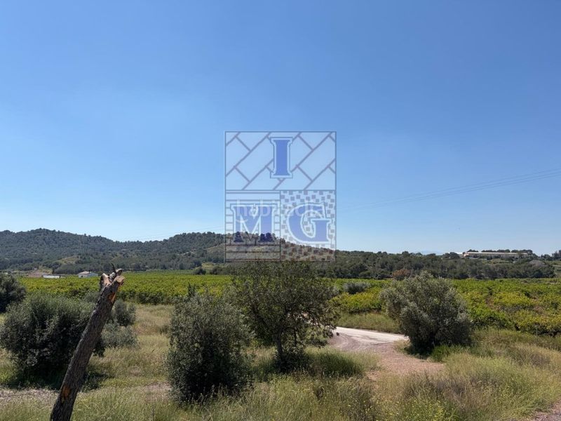 Foto adaf2cf2-ab21-4937-bba2-3f7391a916d6. Finca rústica a El Esparragal Murcia