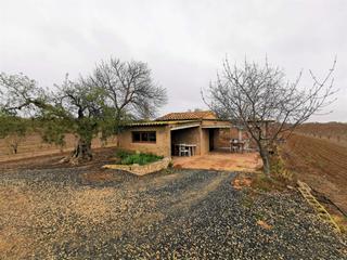 Country house  Carretera almoster. Gran finca rstica en reus con plantacin de avellanos