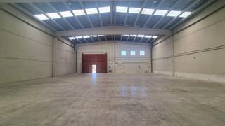 Nau industrial a Riudoms