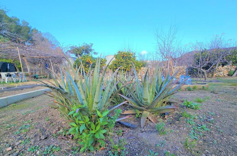 Foto 04ce220c-24e5-4a99-a9af-3fd94c5b1d8b. Terrain résidentiel dans Aleixar (L´)