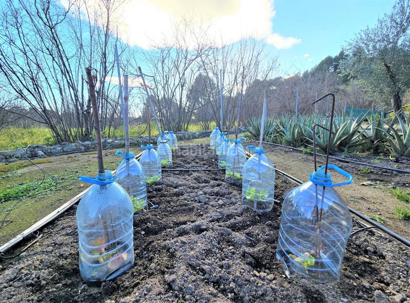 Foto 61ccca4c-4085-4957-9a02-249b5ff17dd5. Terrain résidentiel dans Aleixar (L´)