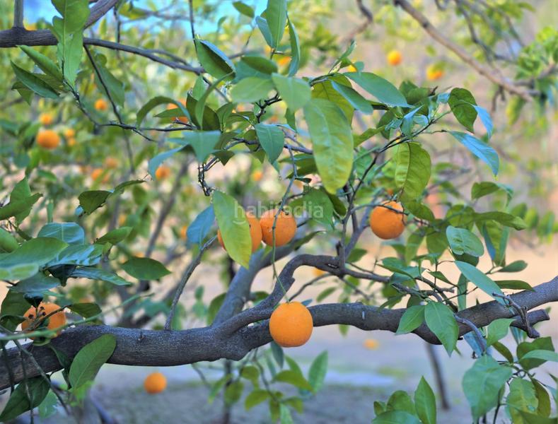 Foto 6ae2adaa-14ba-4b03-9ea6-e7731ac2f482. Terrain résidentiel dans Aleixar (L´)