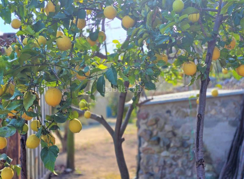 Foto 8c8ab21c-d2b6-4c8d-879f-4c623abd6540. Terrain résidentiel dans Aleixar (L´)