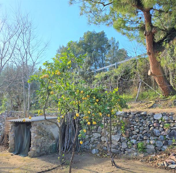 Foto 975280cf-13be-4dda-aafe-0b7b68095c6b. Terrain résidentiel dans Aleixar (L´)