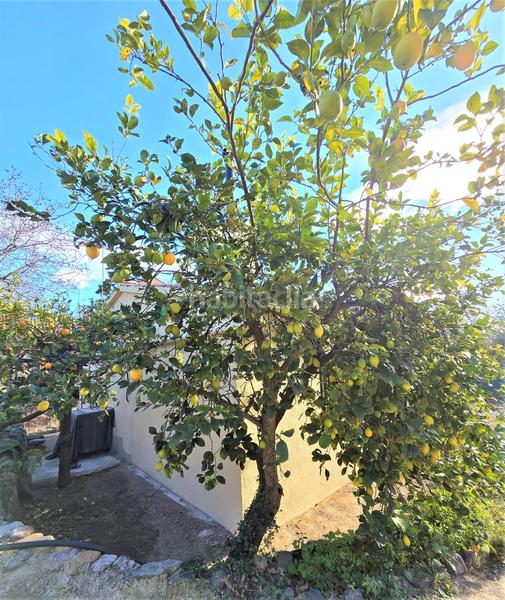 Foto a6ed7212-63b7-44fd-b7ce-b3e280c4be61. Terrain résidentiel dans Aleixar (L´)