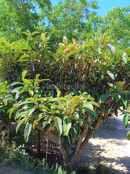 Foto d8557897-b569-4865-8f30-9cdfe075c324. Terrain résidentiel dans Aleixar (L´)