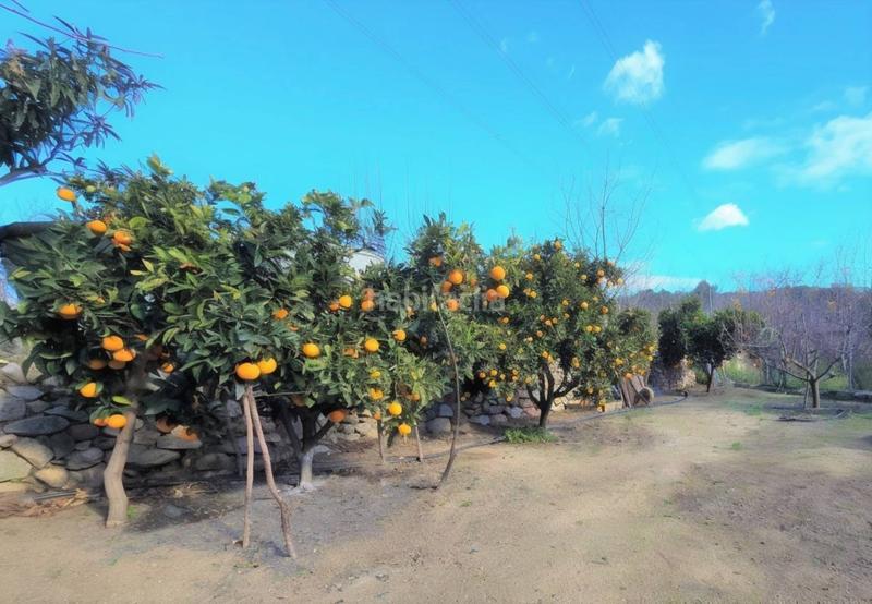 Foto edb8e800-710a-4d3c-aa28-dbb3b0539d79. Terrain résidentiel dans Aleixar (L´)