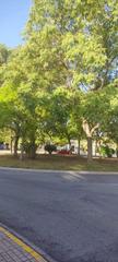 Parking coche en Ciutat Esportiva. Plaza de parking en zona nueva dealtabix en elche