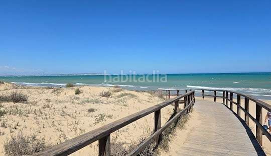 Foto 2b8cc58e-a713-4655-a4ef-2ee45c0ec582. Pis a La Marina Elche / Elx