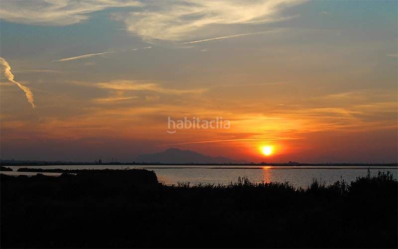 Foto b6d35cfc-363c-43b4-b86c-31945a21eafa. Pis a La Marina Elche / Elx