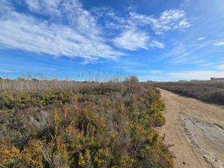 Finca rústica a Centro. Venta de terreno rustico en valverde bajo
