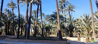 Local commercial à El Raval - Portes Encarnades. Gran oportunidad! local en venta a un paso del centro de elche