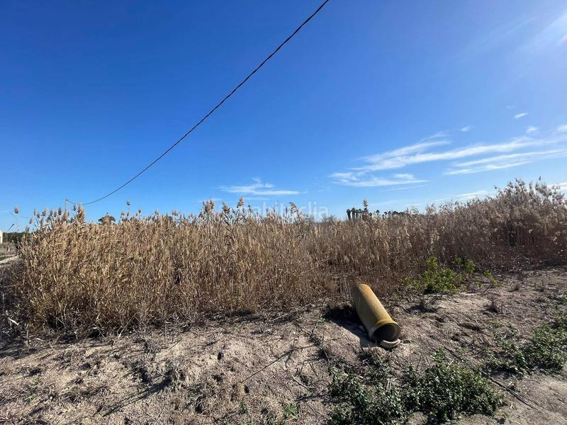 Foto 0476d3a2-b792-4777-bccc-122d1cf3bcdf. Rural plot in Algorós - El Derramador Elche / Elx