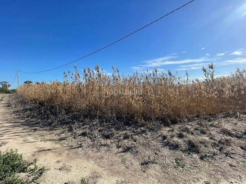 Foto 4f90e7e0-4de9-44c9-8608-266d7012d151. Rural plot in Algorós - El Derramador Elche / Elx