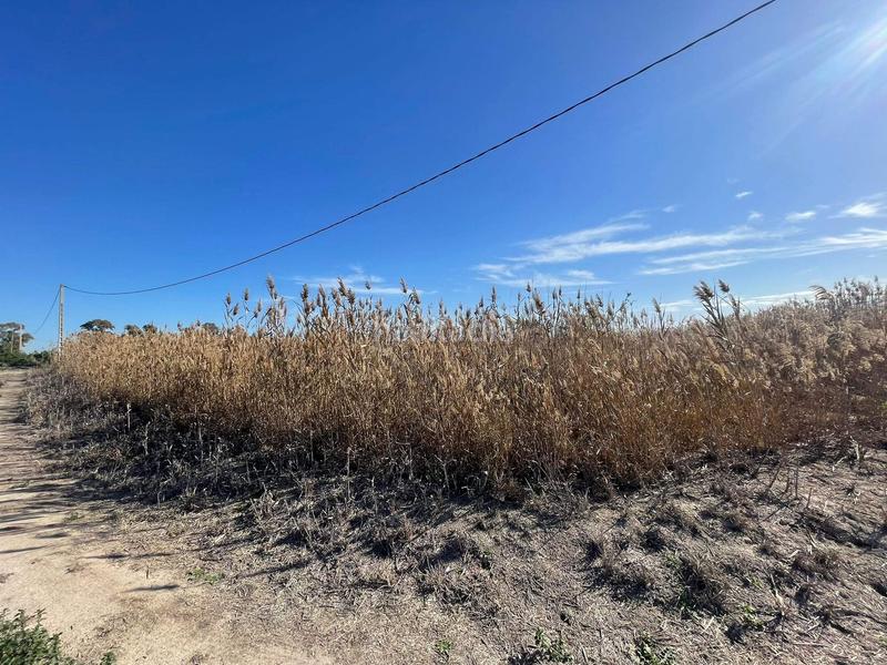 Foto 60c8207d-106f-4aca-8c56-2819b558a41b. Rural plot in Algorós - El Derramador Elche / Elx