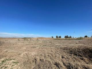 Finca rústica a Centro. Se vende terreno agrario en partida derramador, elche  8.700 m