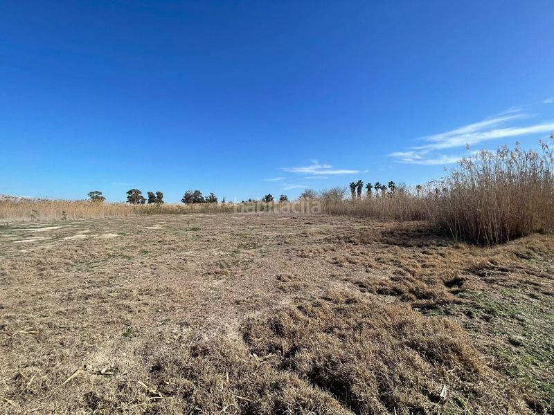Foto 8ed76d86-da60-4ee4-adc9-98cc0d8dcf7e. Rural plot in Algorós - El Derramador Elche / Elx
