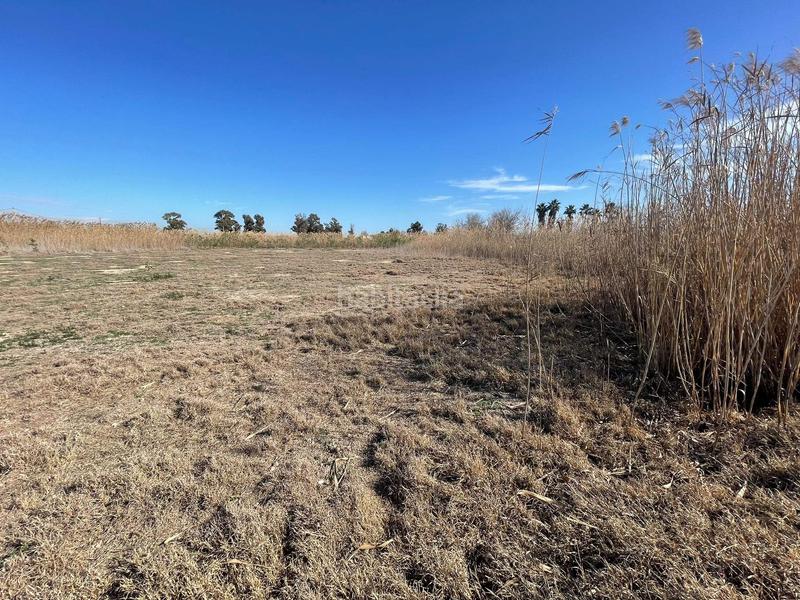 Foto a7eb1ac4-9949-4765-9fa9-9d04c405f096. Rural plot in Algorós - El Derramador Elche / Elx