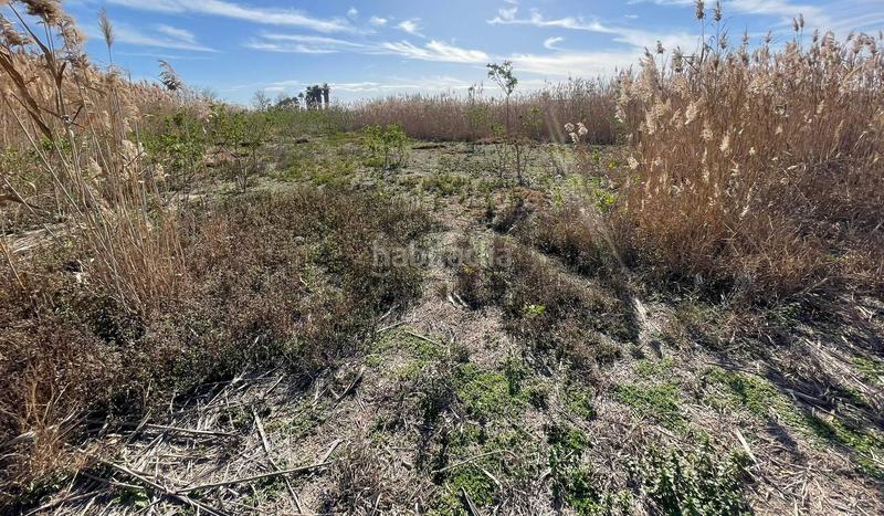 Foto b8e2a2f6-951b-4165-a1a1-998e2dc5859d. Rural plot in Algorós - El Derramador Elche / Elx