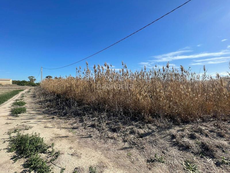 Foto c802306b-2a22-4784-bb04-7f1ce8923e5c. Rural plot in Algorós - El Derramador Elche / Elx