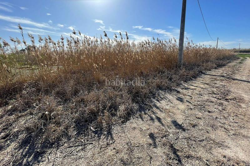 Foto ec082454-c25a-4b54-8c7a-d35f54175358. Rural plot in Algorós - El Derramador Elche / Elx