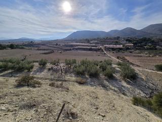 Finca rústica a Novelda. Siente el poder desde lo más alto!