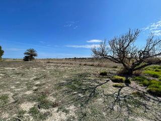 Finca rústica a La Foia - Daimés - Asprella. Disfruta de la tranquilidad del entorno de carrizales