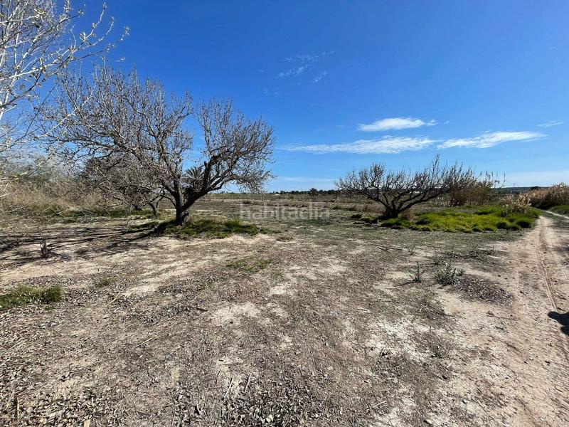 Foto e334b7ca-4a46-450a-9d56-9bbb5a6394e4. Fondo rustico in La Foia - Daimés - Asprella Elche / Elx