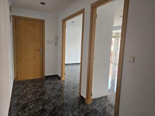 Pis  Calle poeta miquel hernndez. Luminoso apartamento en el corazn de la ciudad