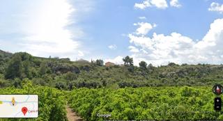 Finca rstica en Llombai. Terreno rstico en venta  llombai valncia