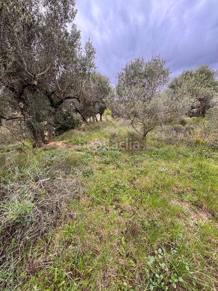 Foto 22e9f8ab-6d08-4486-868d-0a4eb52361ba. Finca rústica a Alforja