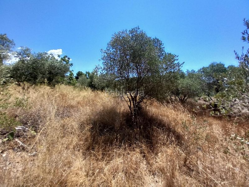 Foto 5089e332-66f0-43a3-bb43-0685f02e0e96. Finca rústica a Alforja