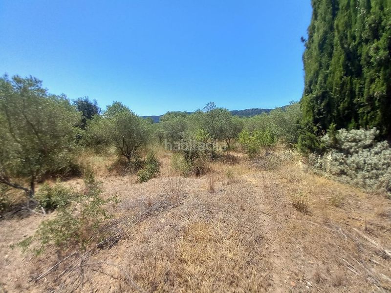 Foto ad32780e-cfe8-4a86-9e04-edd21cac5187. Finca rústica a Alforja