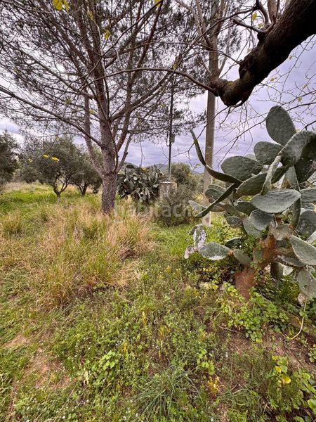 Foto b8855c67-8769-4a76-95fa-b34b8372ef9f. Finca rústica a Alforja