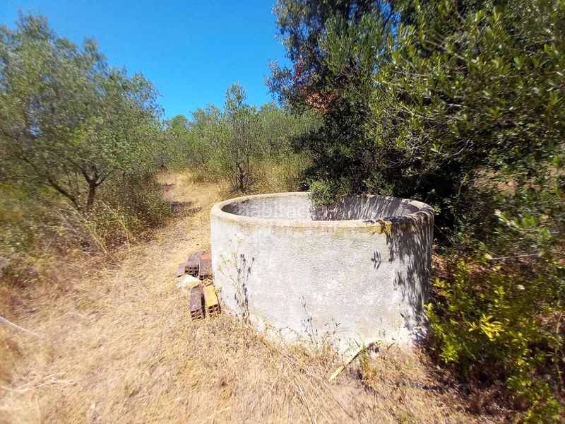 Foto cc5256d4-774c-4acc-8fb9-655b6d86e204. Finca rústica a Alforja