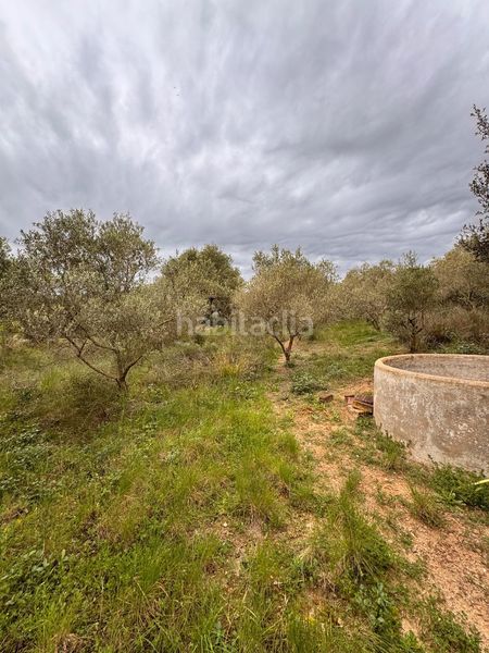 Foto e842d34a-d522-4d63-ade0-01184311ce34. Finca rústica a Alforja