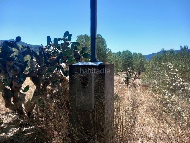 Foto f6f30138-d5ba-495c-bb11-f109c1933400. Finca rústica a Alforja