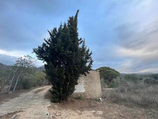 Finca rústica  Mas del alleu. Finca rústica con caseta de 40 metros de herramientas