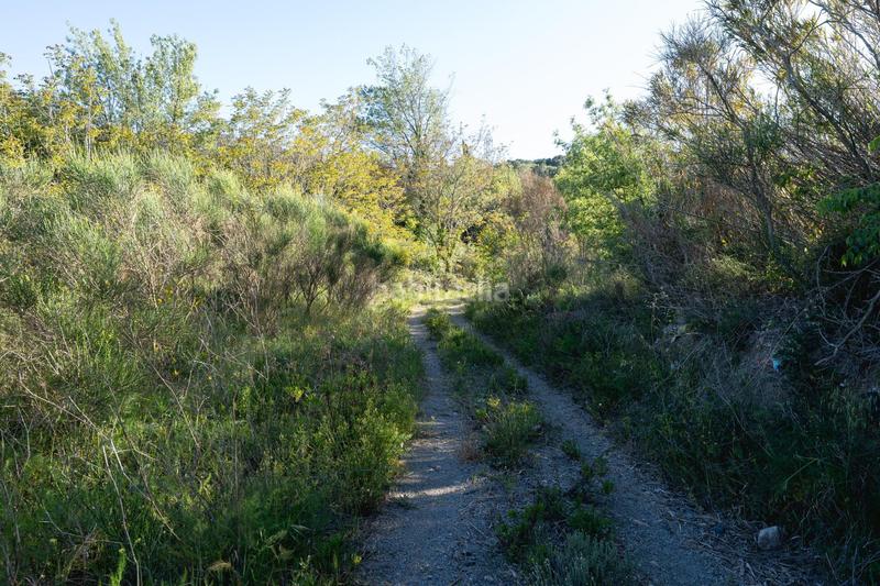 Foto 014dd8de-b24c-4a72-adf0-d210240ecdff. Finca rústica a Riudecols