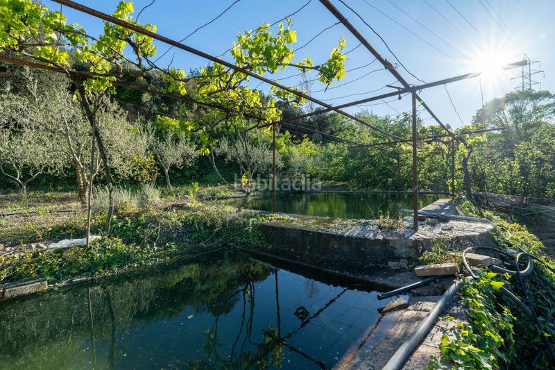 Foto 2bc1da1a-0eb1-4663-8fe6-b7c14e0796ee. Finca rústica a Riudecols