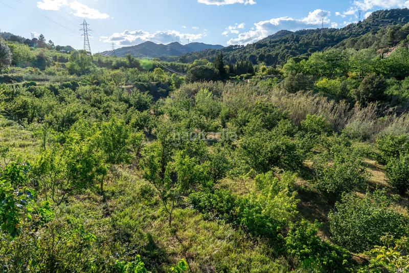 Foto 4cf8f011-0807-4a51-9d5d-8cabb7d33b17. Finca rústica a Riudecols