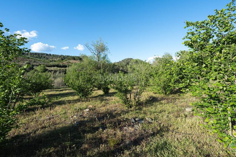 Foto 57b0d830-0e35-4aa8-9b14-af93e4ed9880. Finca rústica a Riudecols