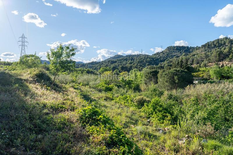 Foto 686abd05-89f0-4681-a08a-94556154cc42. Finca rústica a Riudecols