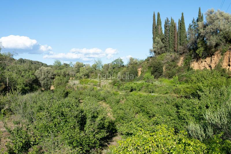 Foto 6b4e57a6-5ddb-4069-b381-bd728aae0fdc. Finca rústica a Riudecols