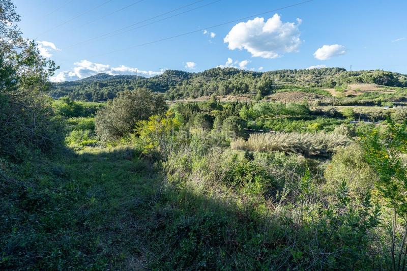 Foto 6fa191d2-6292-4ba1-a4cd-c79c8fd1b3aa. Finca rústica a Riudecols